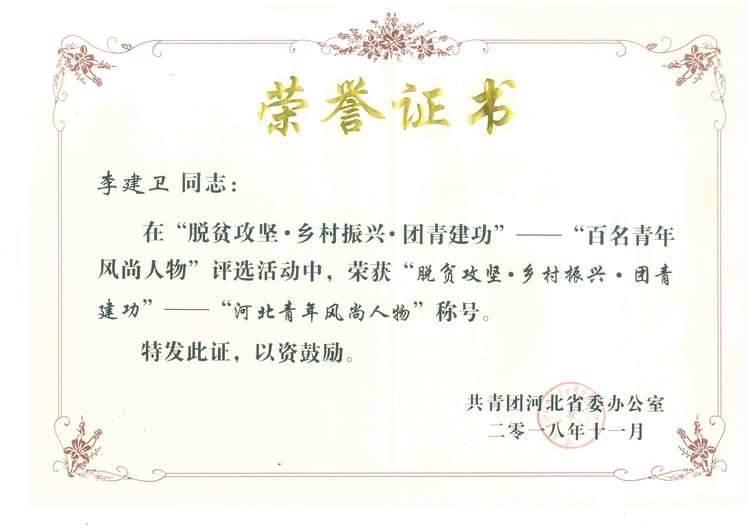祝贺集团副总经理李建卫荣获“河北青年风尚人物”称号
