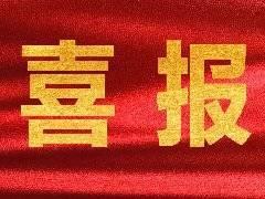 【喜报】宝信物流获评中国物流企业50强和民营物流企业50强